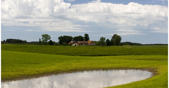 Rajd Polski